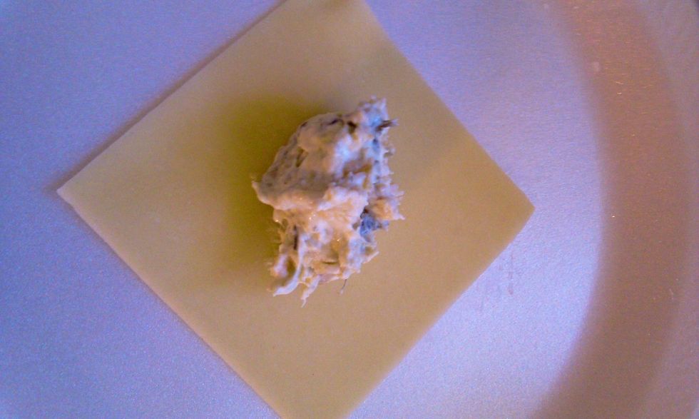 Place spoonful of mixture on he wonton wrapper.