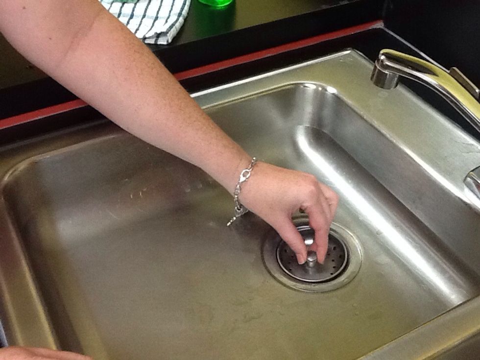 Place stopper in sink. Make sure the piece fits into the slot and that no water can pass through drain.