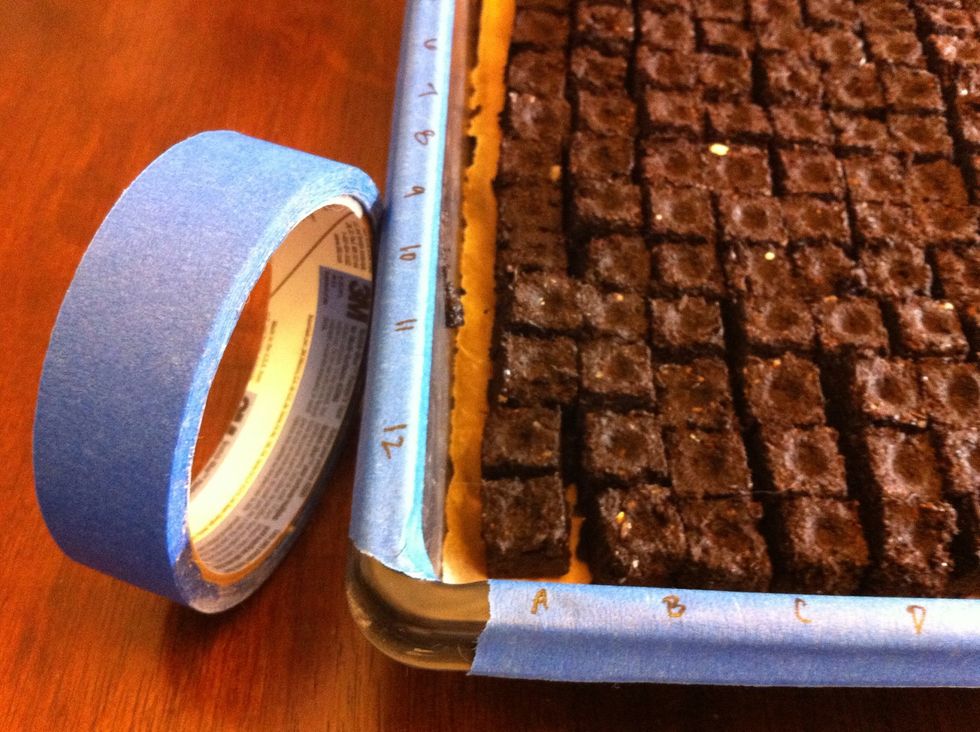 Place strip of paint tape onto one side & one end of tray. Label side A-Z and end 1-12 corresponding to each row. If using different seed types, make sure you note placement of seeds in spreadsheet.