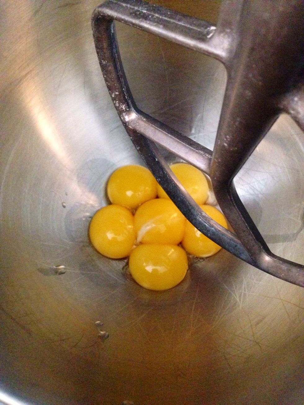 Place the 6 yolks into the mixer bowl and turn on medium speed to start mixing.