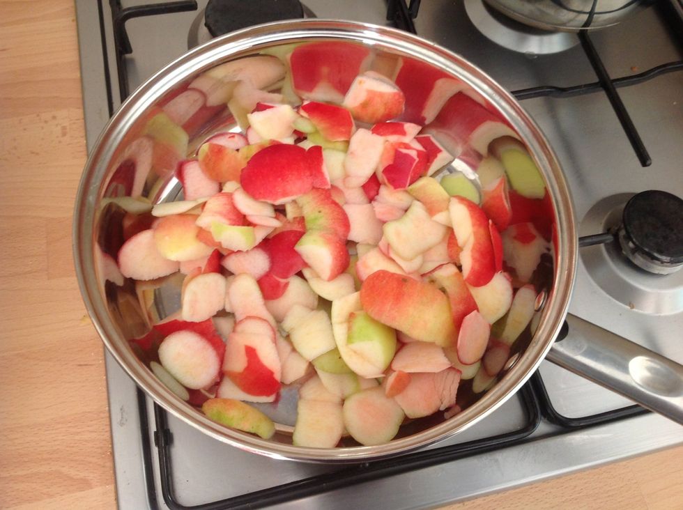 Place the apple peels in a large pan