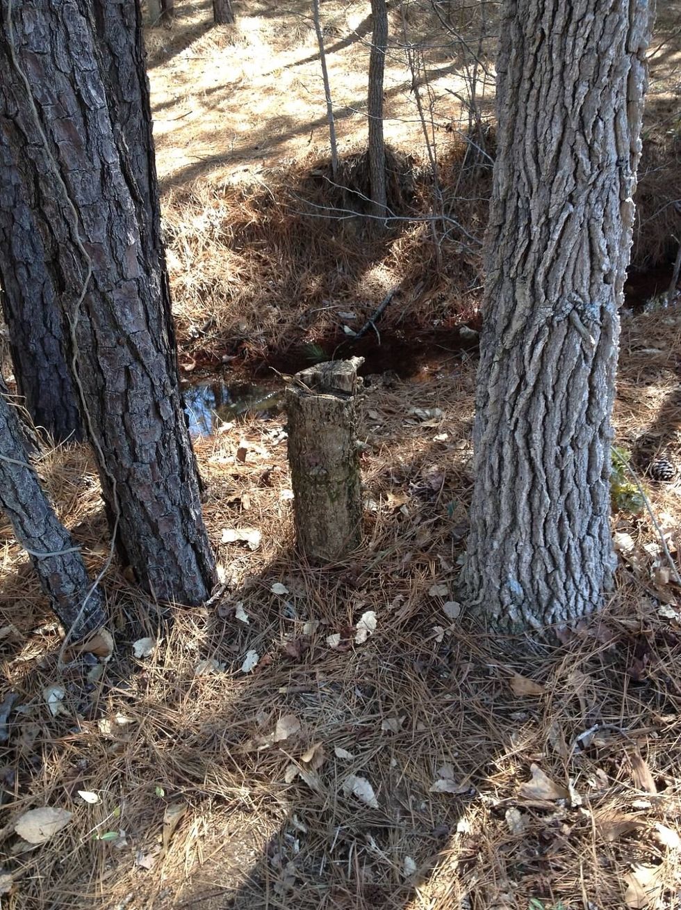 Place the assembled Geocache at the hidden location.