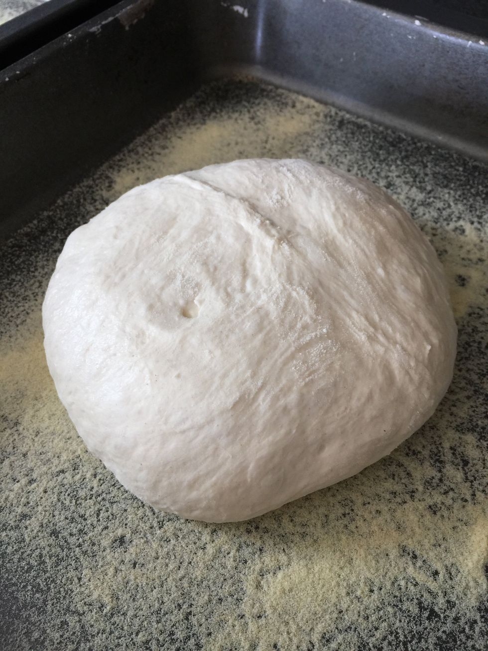 Place the balls of dough on to the semolina-covered backing trays.