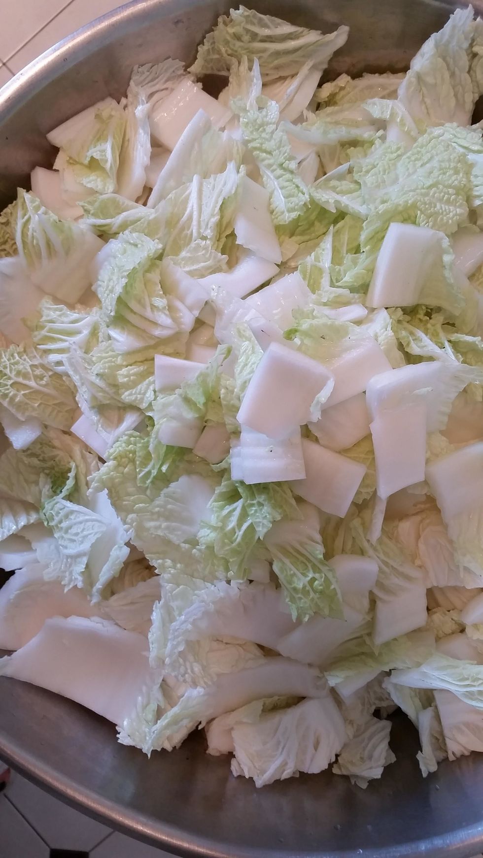 Place the cabbage and salt in a large bowl