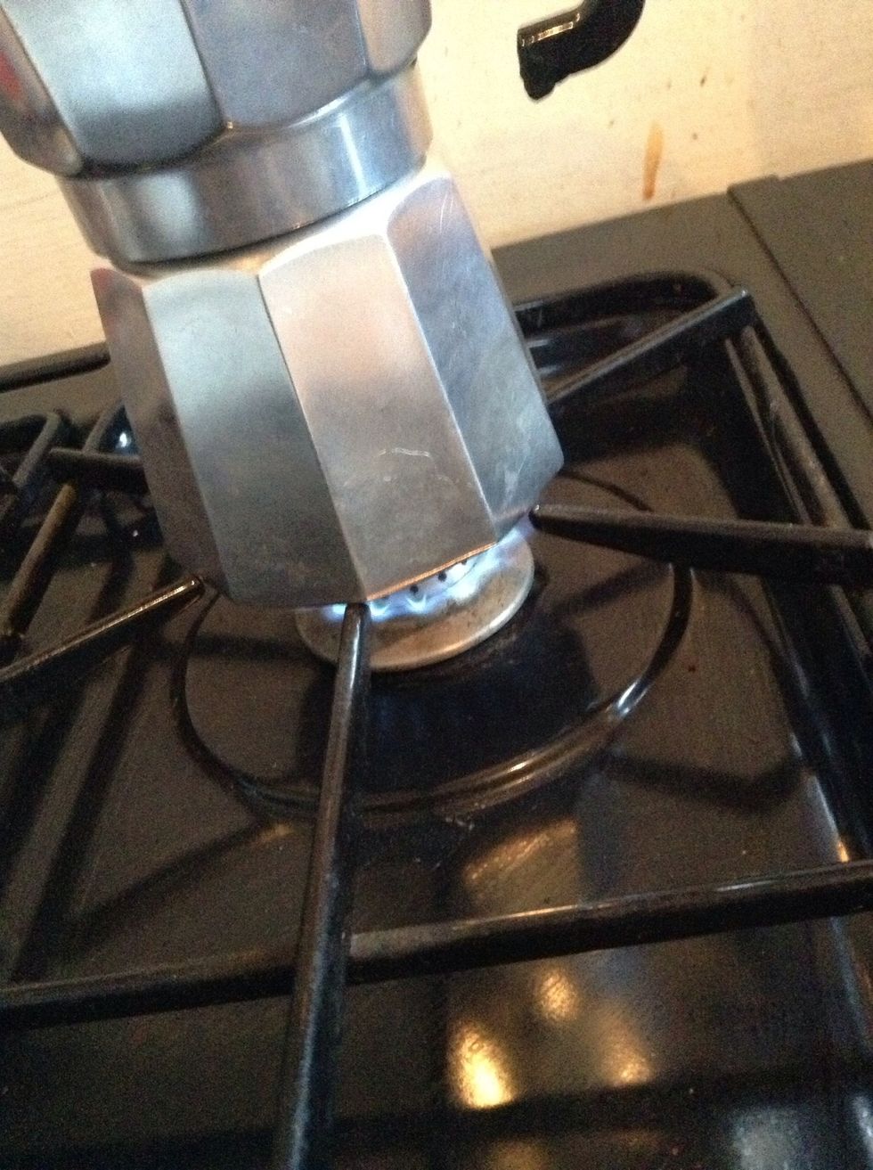 Place the cafetiere onto the hob/stove and put it on a low to medium heat,make sure that the flames are smaller than the base of the cafetiere. If not, the stove could burn the handle.