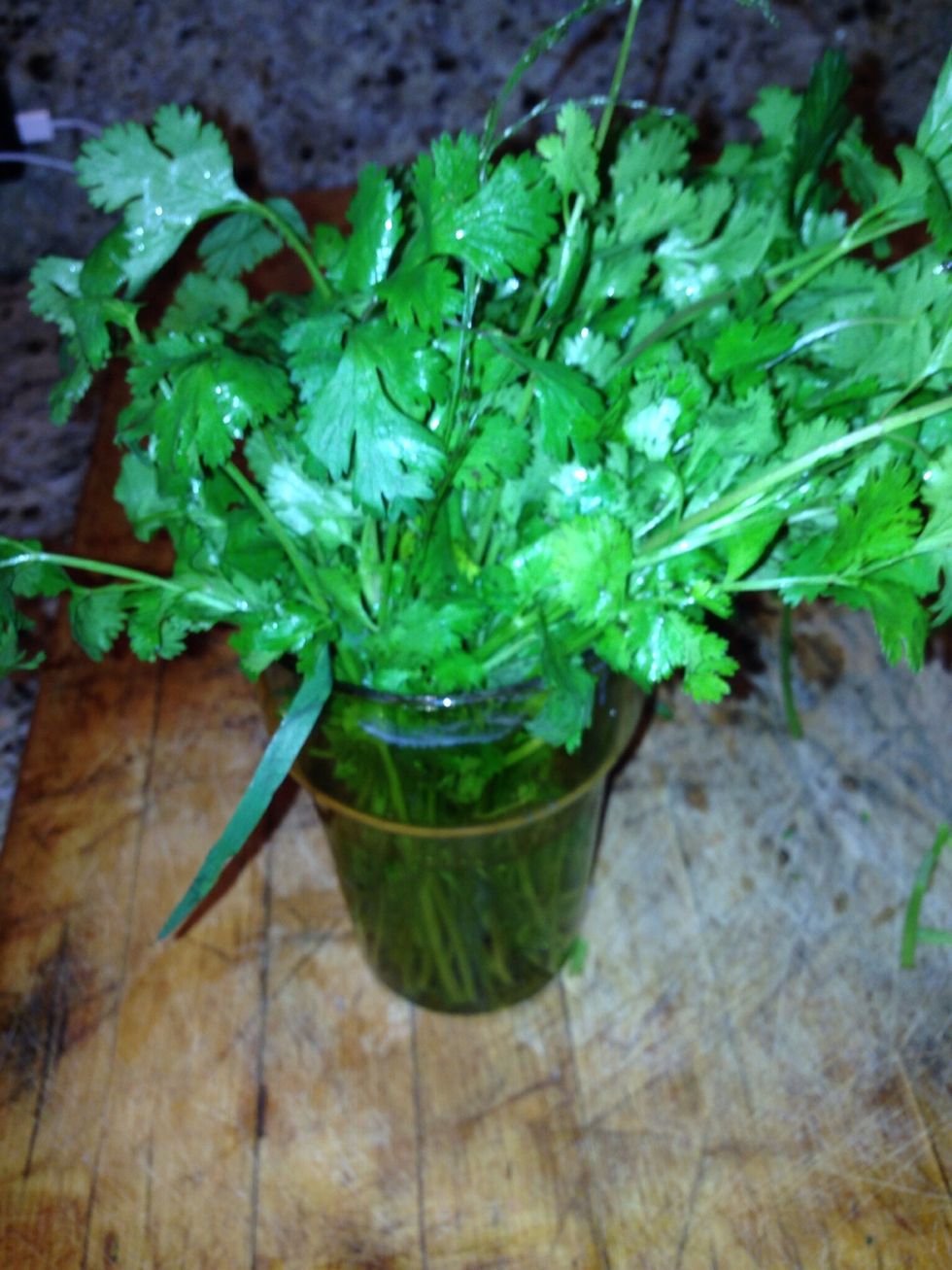 Place the cilantro in the cup.