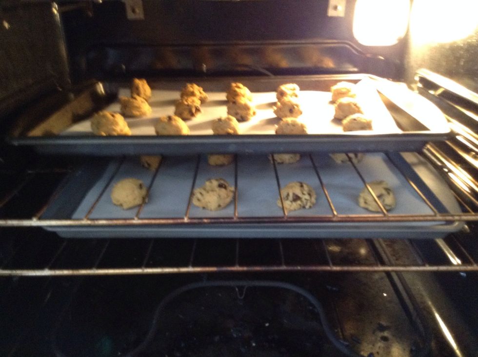 Place the cookies on the baking pans and place the baking pans in the oven for 9-11 minutes.