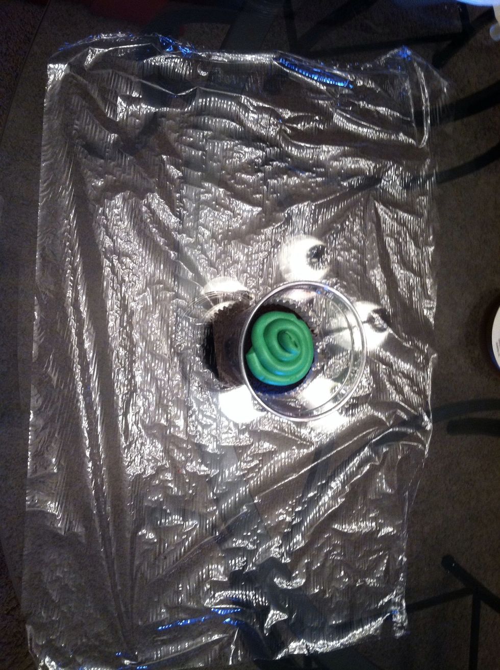 Place the cup in the middle of the plastic wrap.