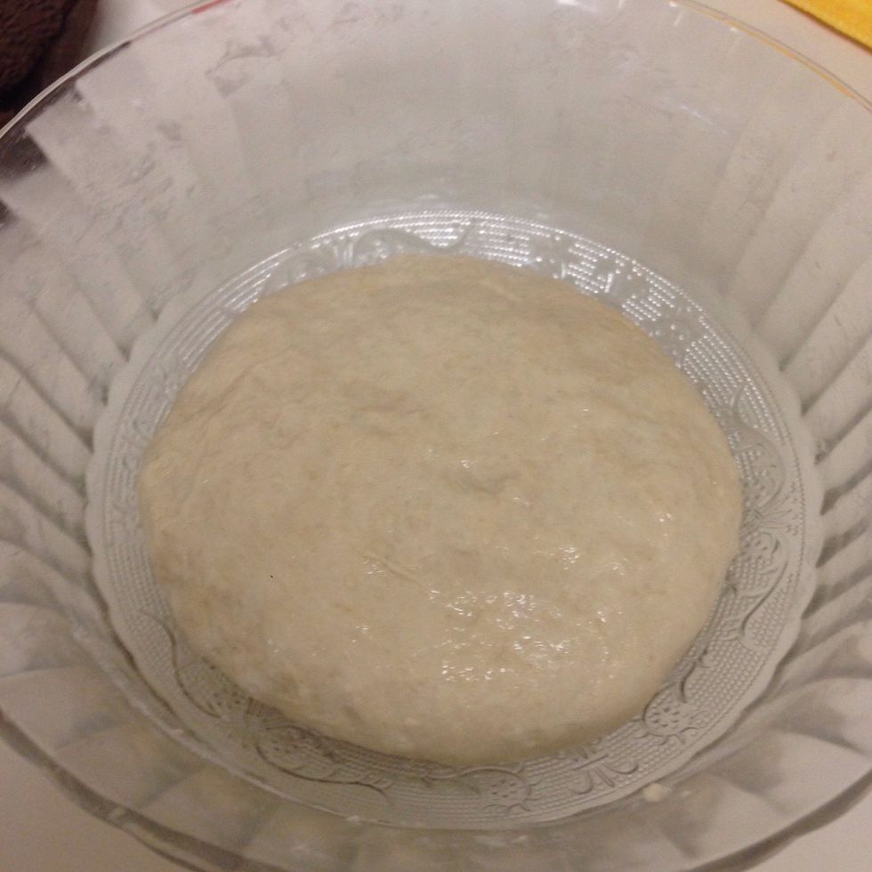Place the dough and let rise for about 1 hour or until double sized ..