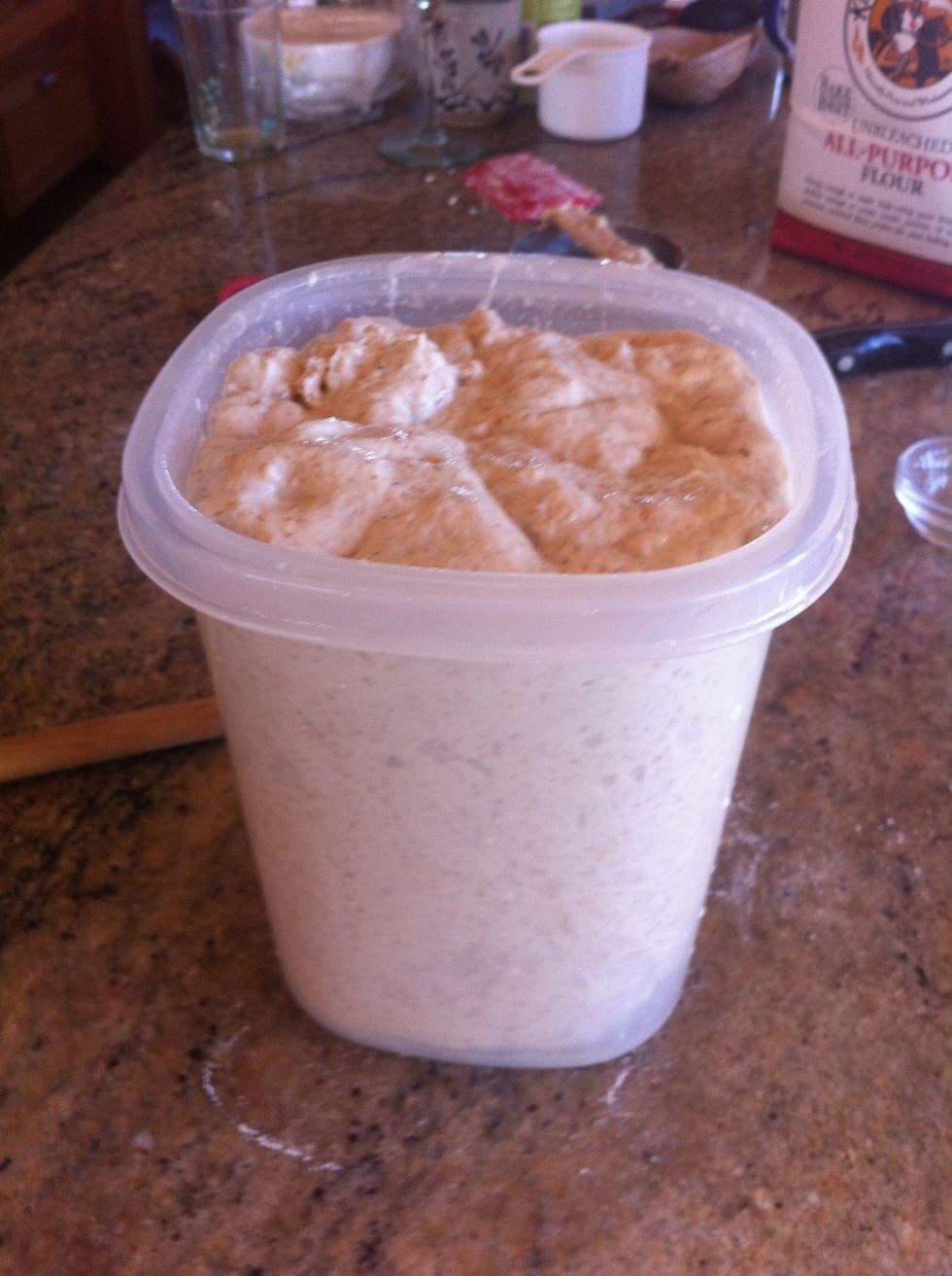 Place the dough in a container for the first rise.
