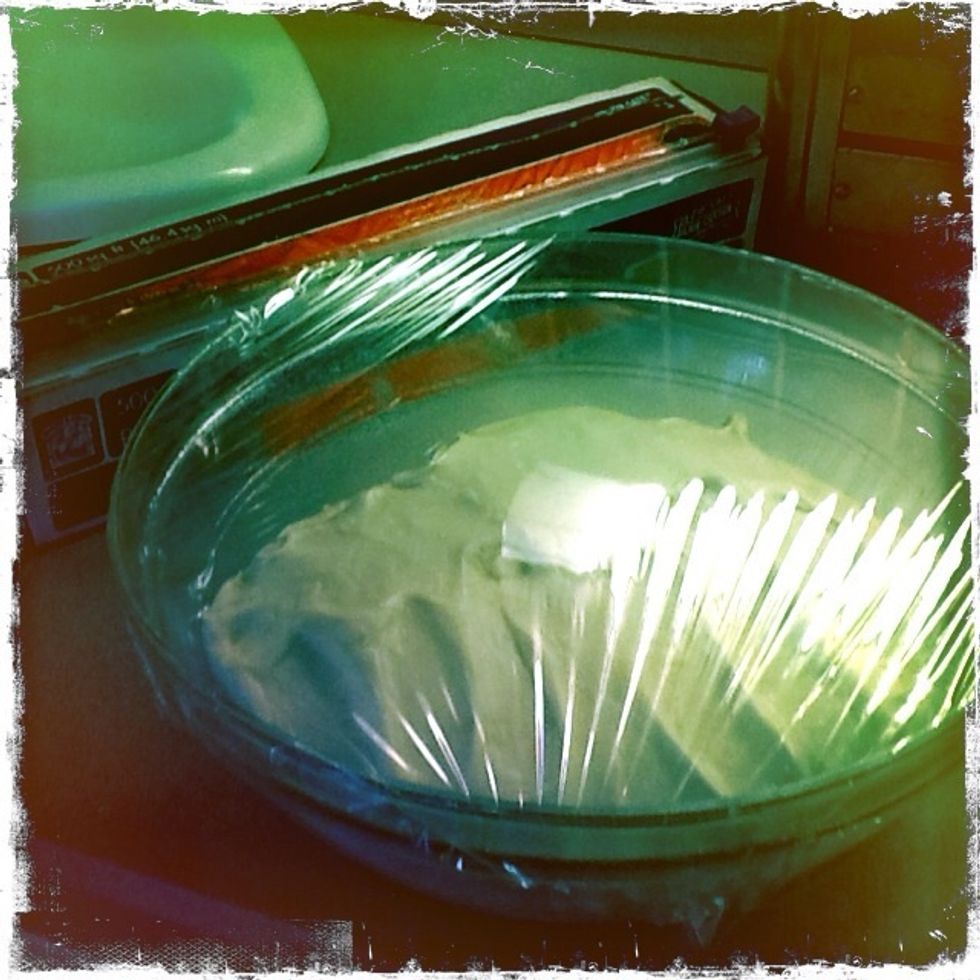 Place the dough into the bowl and cover with plastic wrap