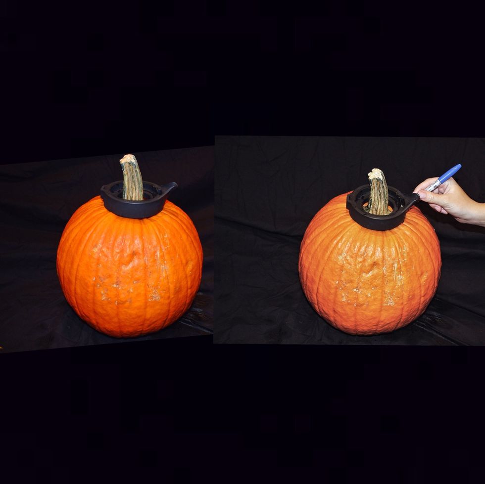 Place the infuser upside down on the pumpkin used for the tea pot and draw your circle just slightly smaller than the outside edge of infuser.