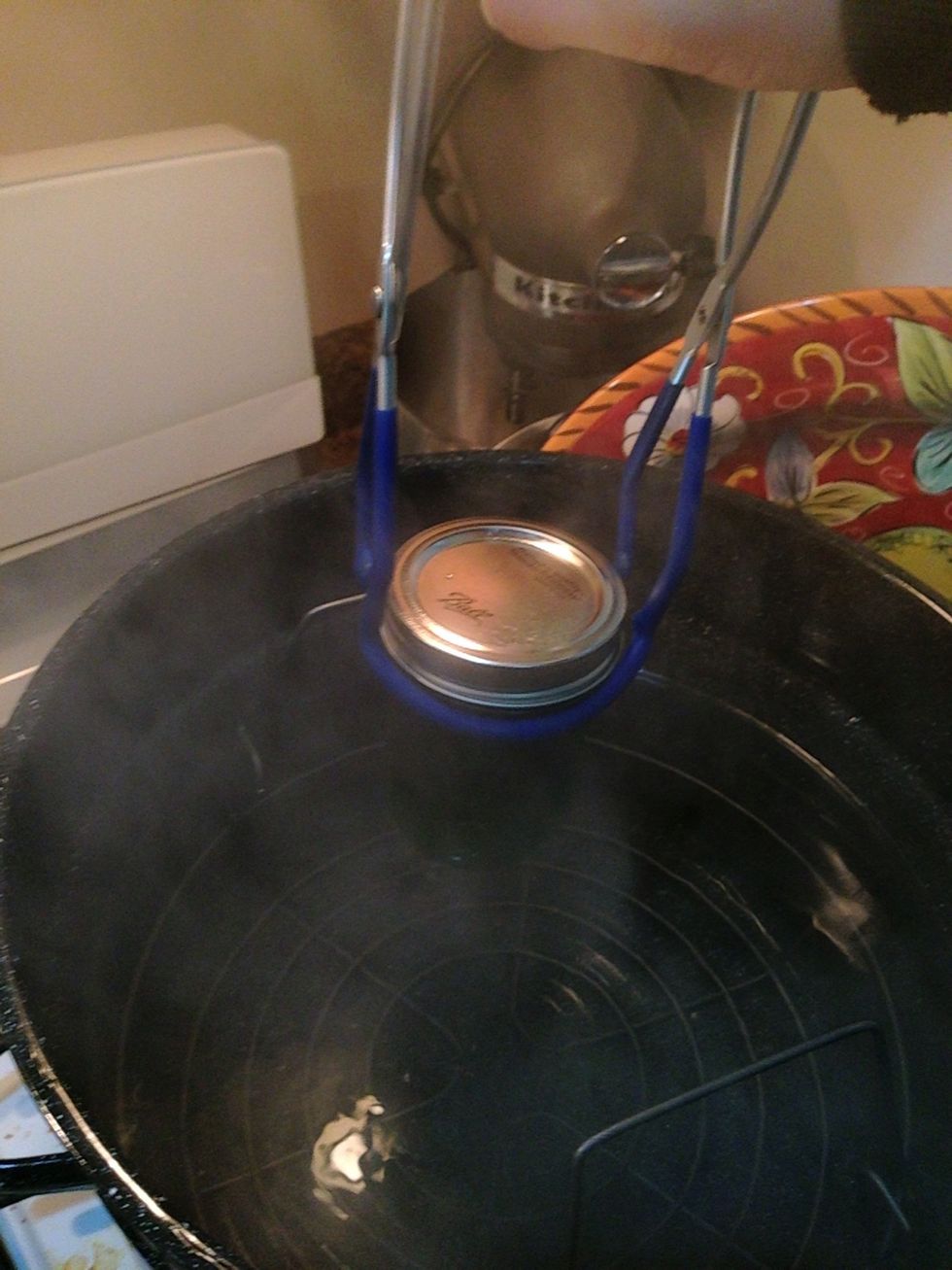 Place the jars back into the large pot hot water, bring to boil, time for 10 minutes, then turn heat off and let sit for 5 minutes before removing. You need the water to cover the top by 1-2 inches.