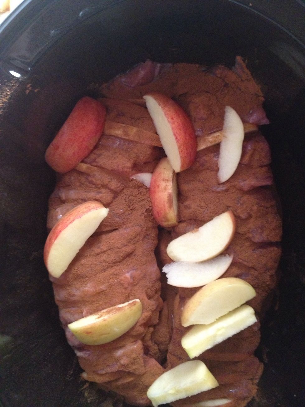 Place the last of your apple slices on top