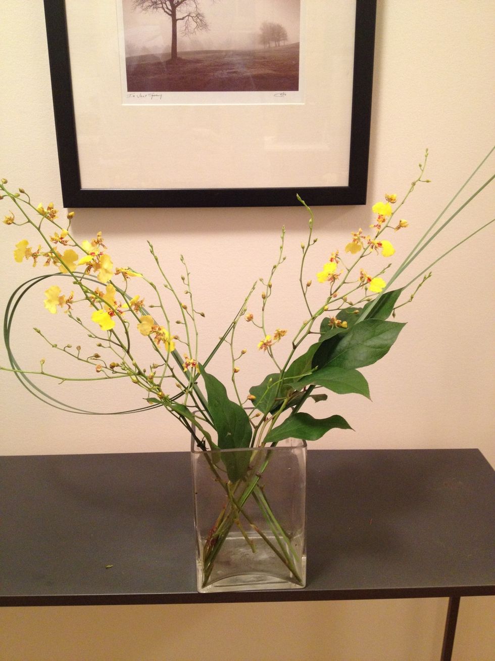 Place the loop of steel grass behind the orchids