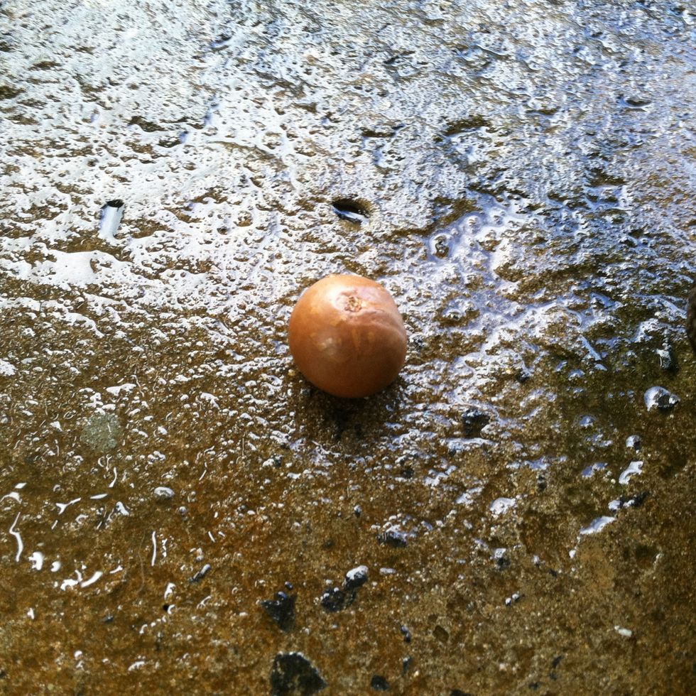 Place the macadamia nut in the divot.