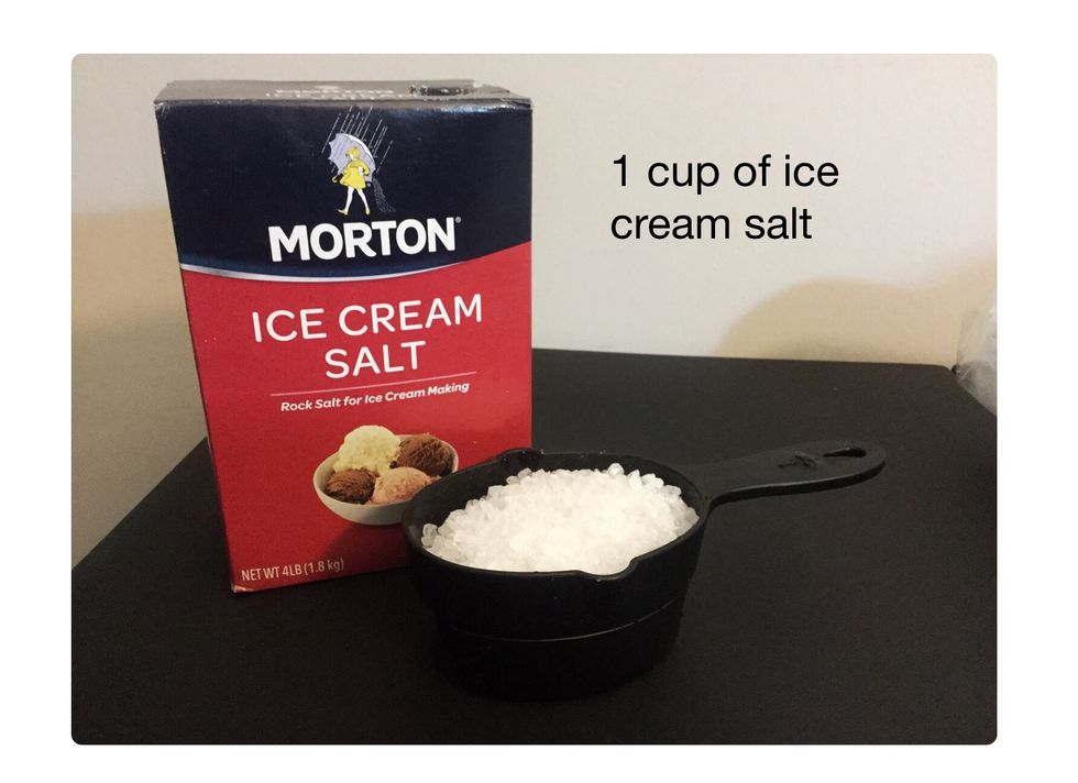 Place the mixture aside. Measure 1 cup of ice cream salt. Any salt like table salt, rock salt, etc. would suffice.