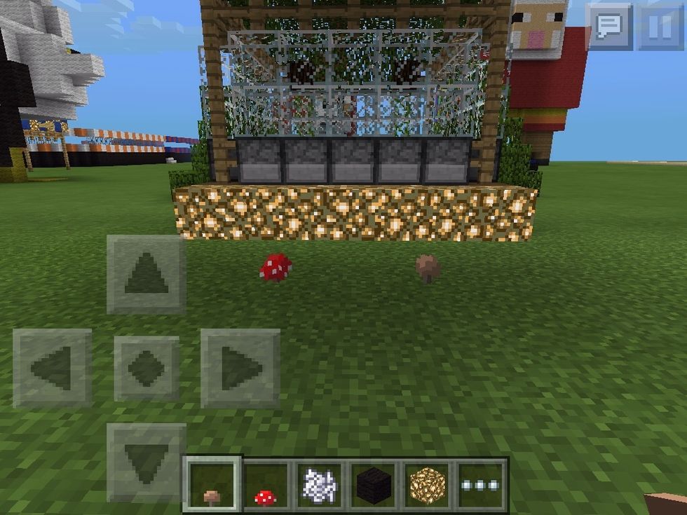 Place the mushrooms on the ground