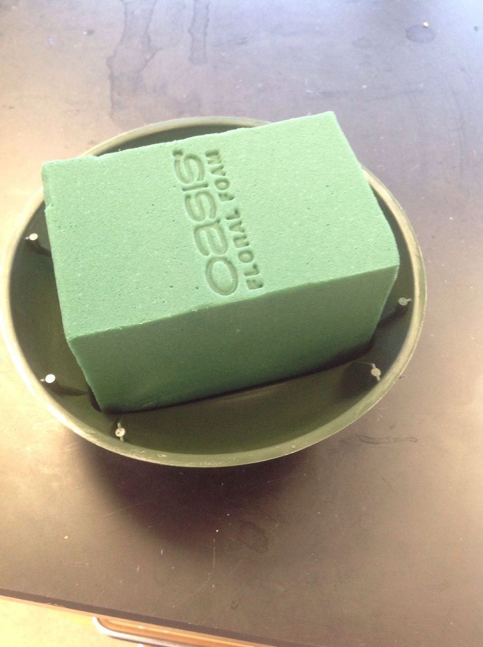 Place the oasis in the dish. Press down on the foam with your palm so there is an even distribution of weight. You want to avoid pushing with your fingers or you will leave dry spaces in the foam.