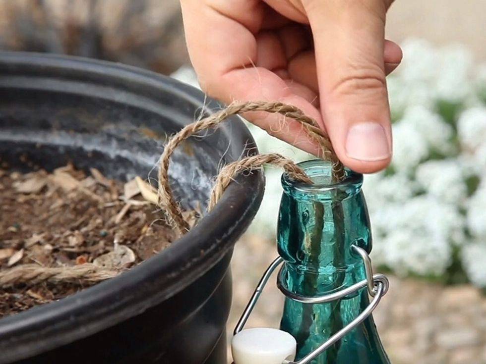Place the other end of the string into the water bottle.