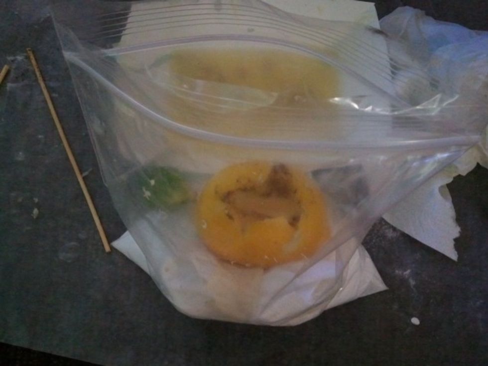 Place the Pharaoh in the baggie.