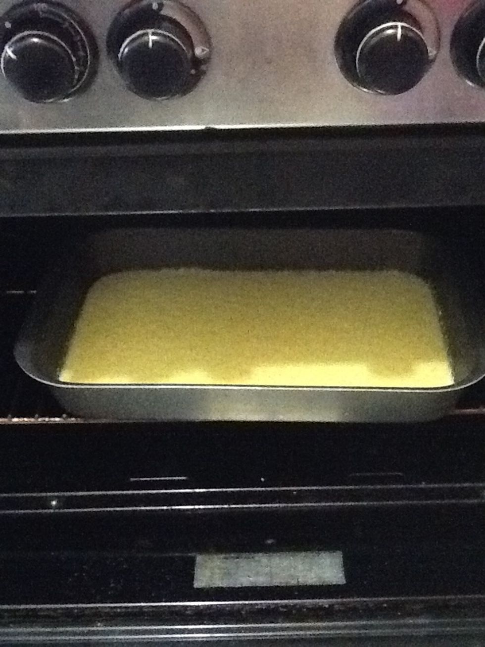 Place the plate inside the oven for 30 minute.