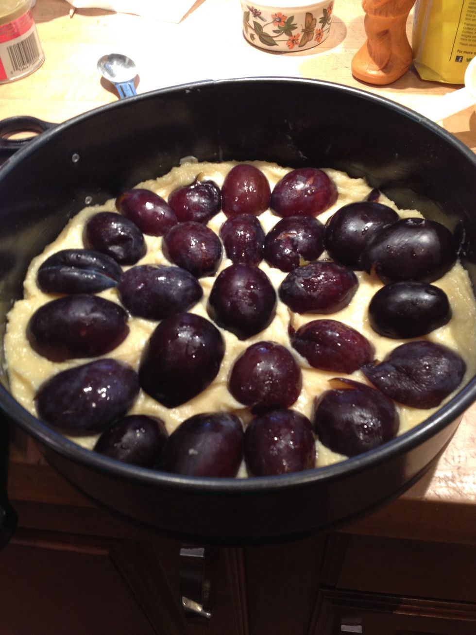 Place the plum halves skin side up on top of the batter in a pattern.