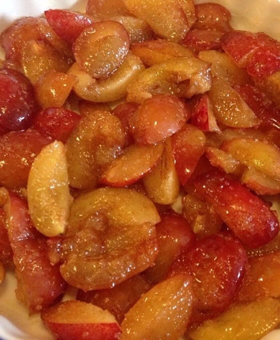 Place the plums in a buttered cake tin.