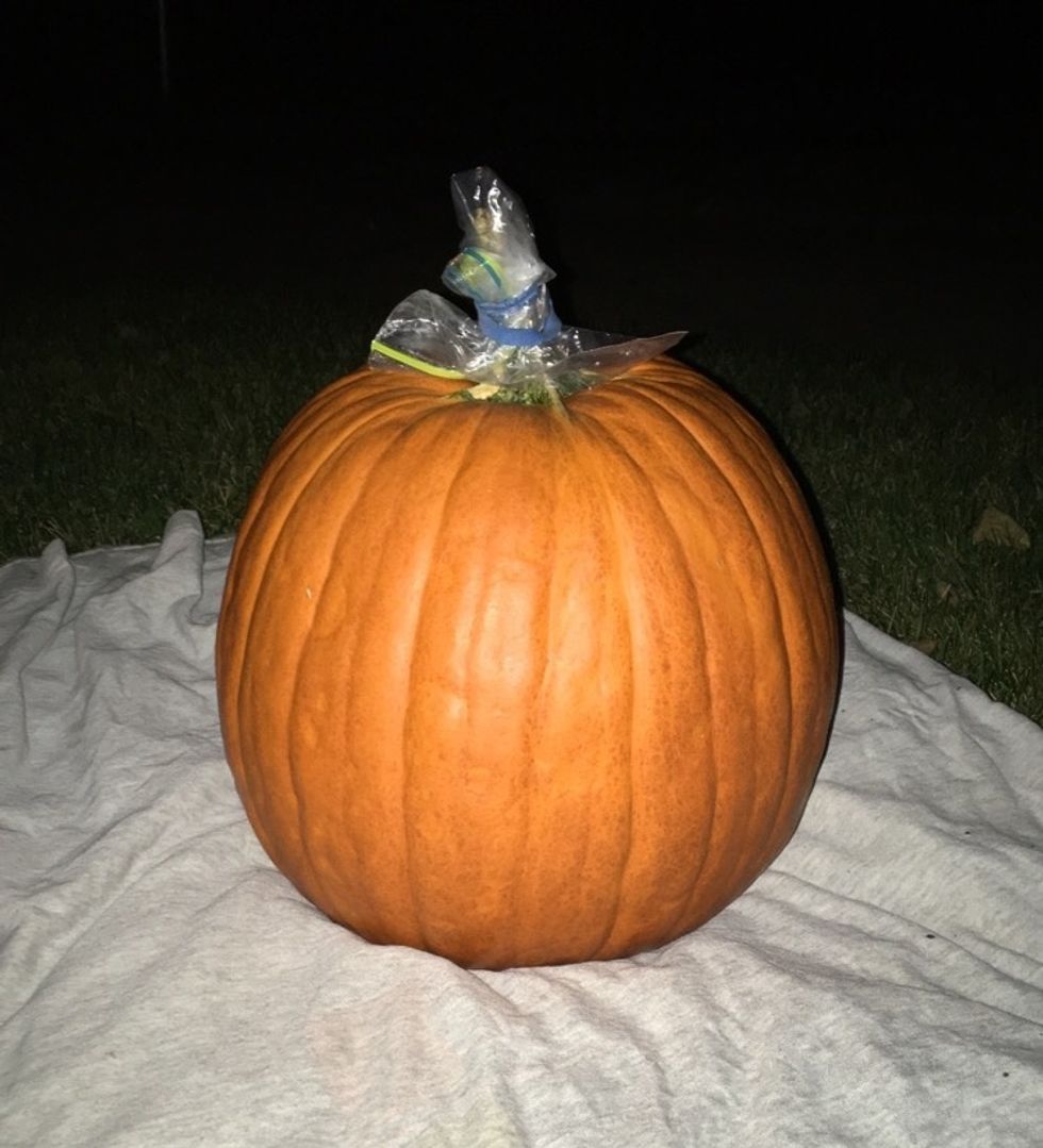 Place the pumpkin outside on a towel then cover the stem.