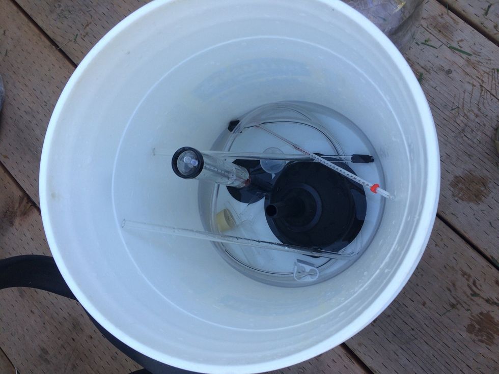 Place the rest of your supplies in a bucket of sanitizer solution.