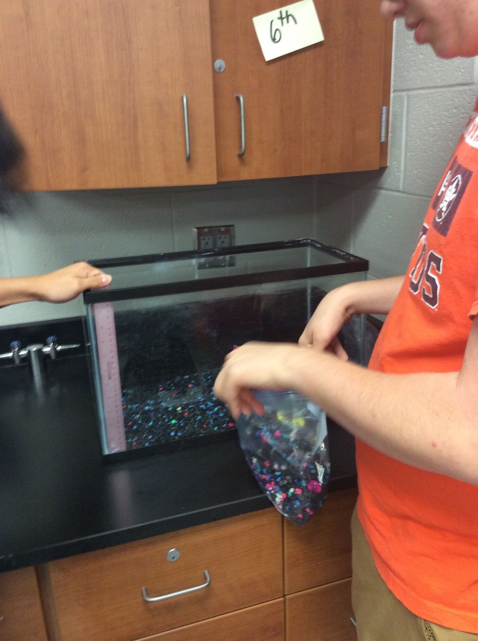 Place the rocks inside the tank