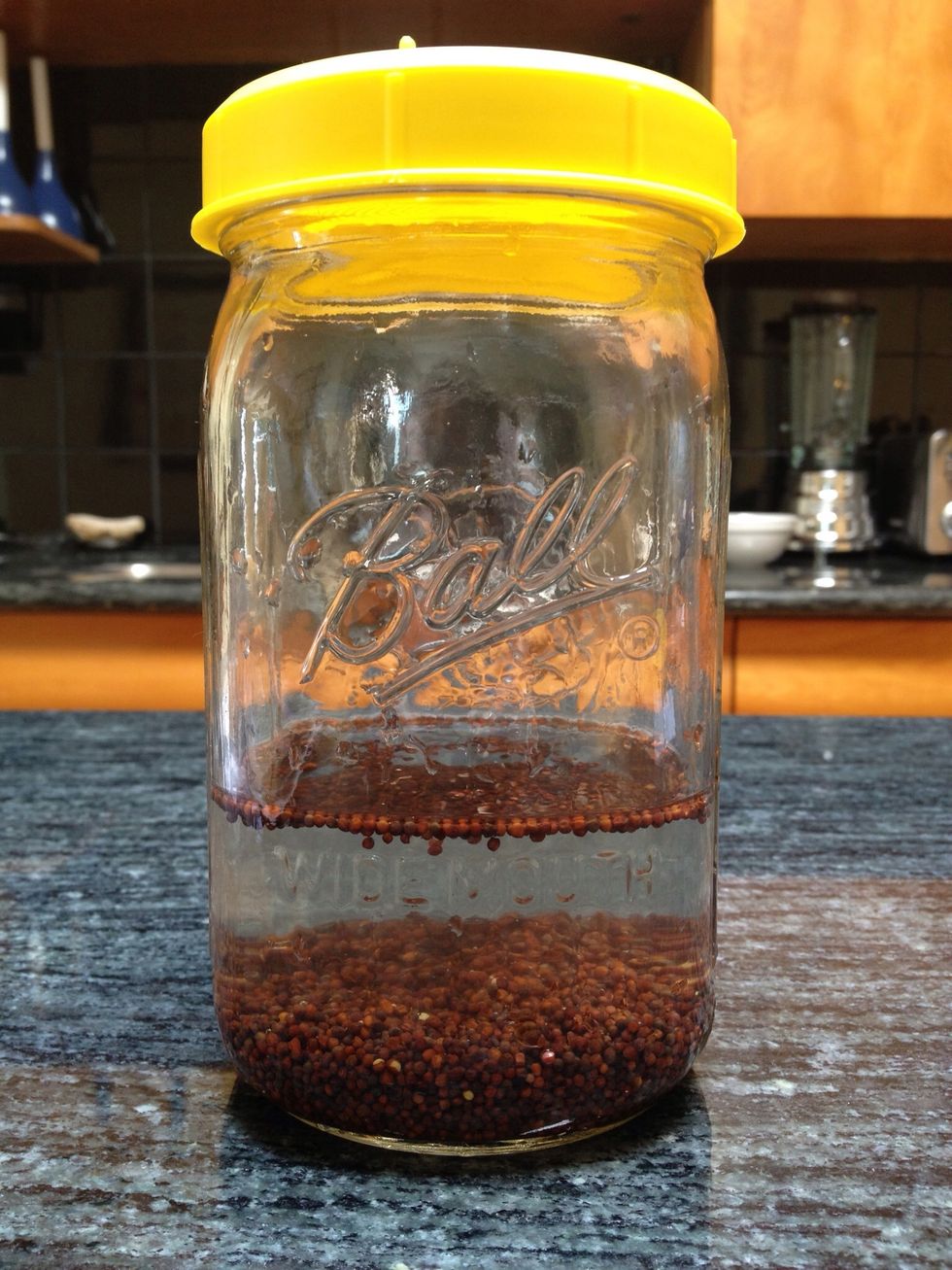 Place the seeds into the mason jar and add cool water.  Soak the seeds for about 8 hours. Note that this is the correct soaking time for broccoli.  Other types of seeds have different soaking times.