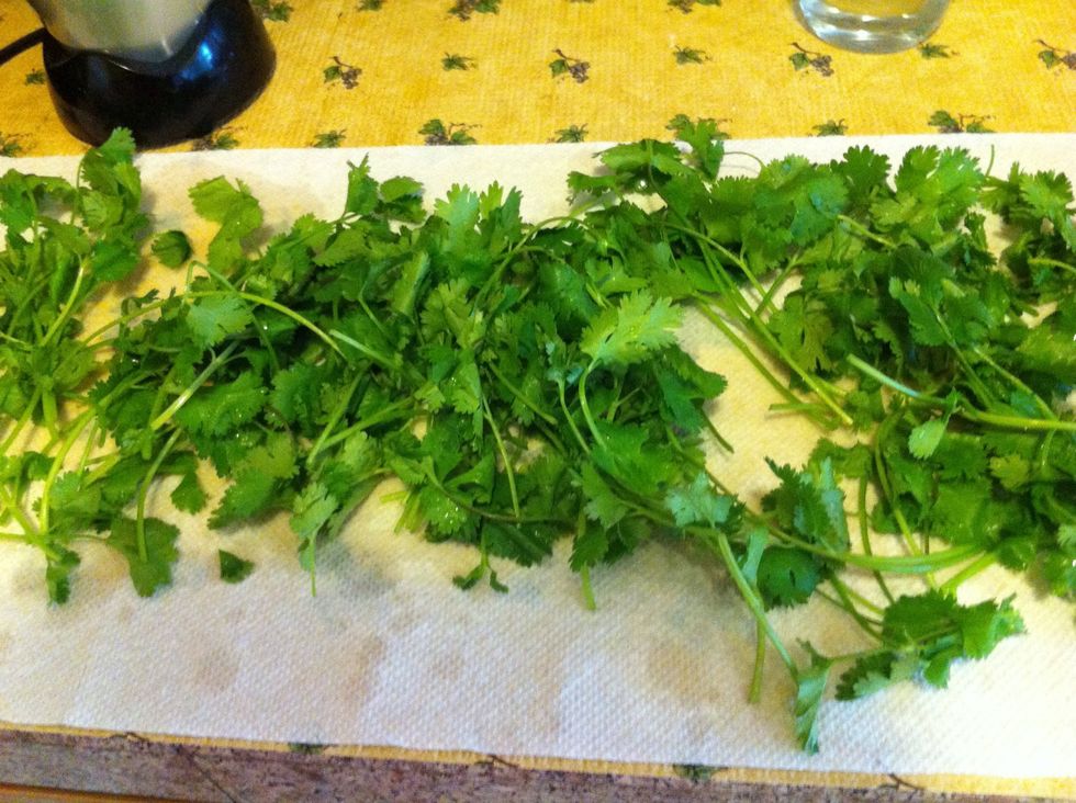 Place them on the paper towel and let it dry. Typically 1-2 hours, till all the water evaporates. Make sure the leaves are all dry!