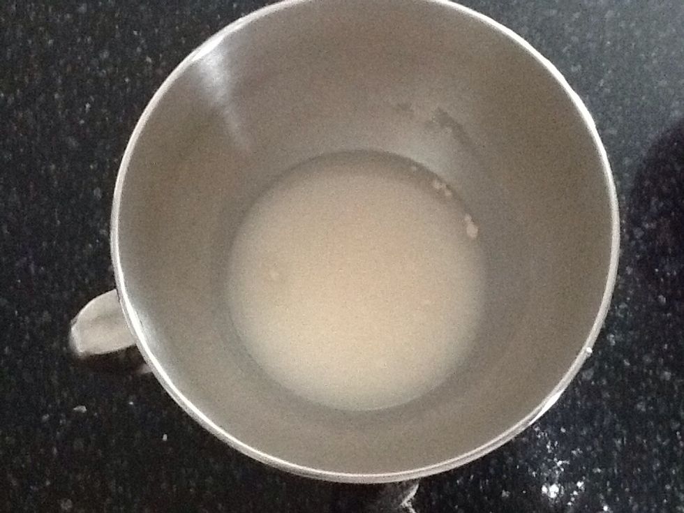 Place warm water and yeast in the bowl of a standing mixer and stir to dissolve yeast. In a separate bowl, whisk together flours and salt.