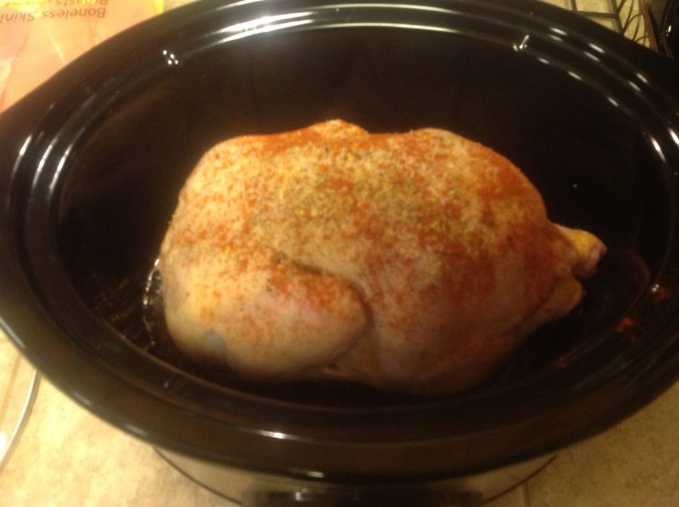 Place whole fryer chicken in crockpot. The only seasonings I use are salt, pepper and paprika. Add one cup of water to crockpot as well.