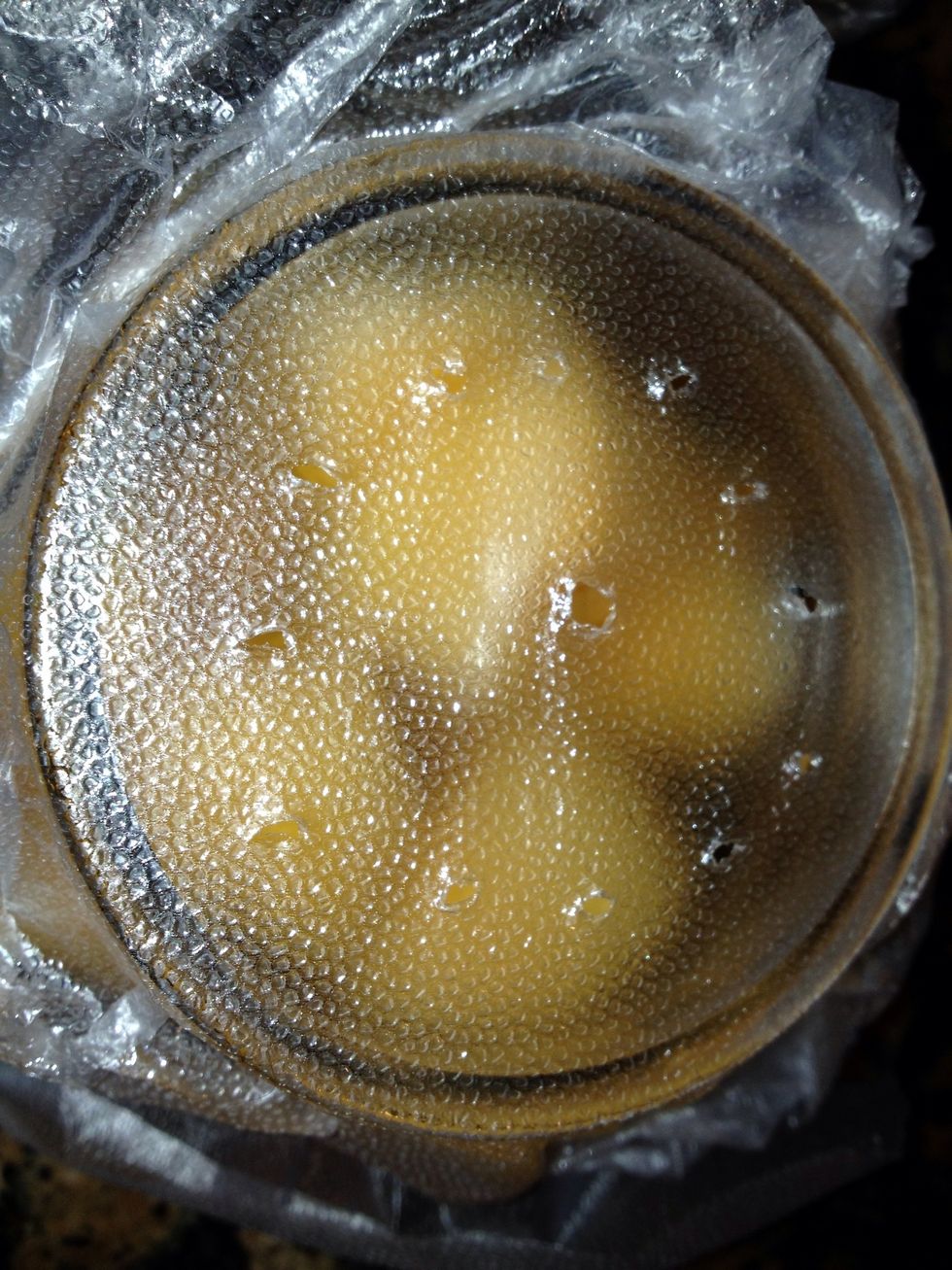 Place wrap over the top, smooth out and poke about 10 holes. Use the Tac to make holes just big enough for the flies to crawl in but not big enough to crawl out. Press the sides down firmly.