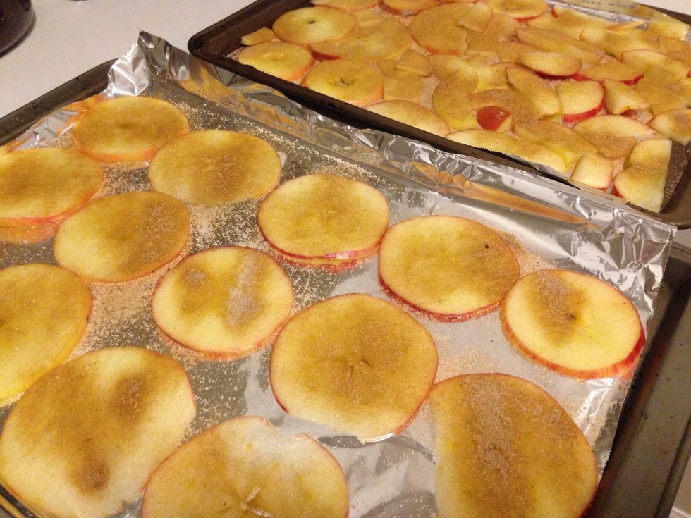 Place your apple slices in one layer on your lined cookie sheets and lightly sprinkle with cinnamon and sugar! You may skip this step to make it healthier, but I love the taste of cinnamon and apples