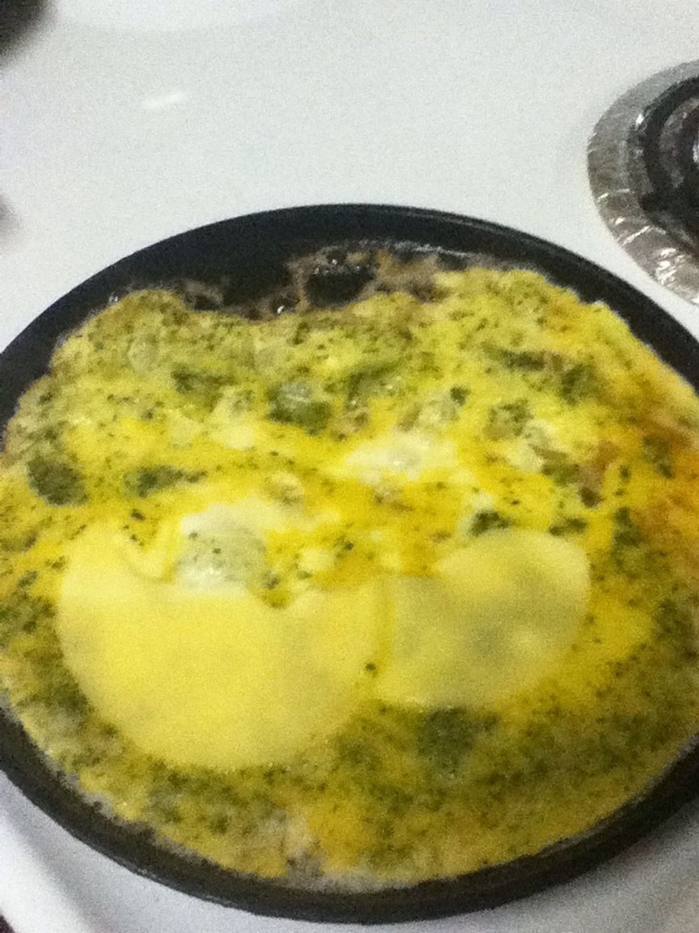 Place your cheese. Now you can add your ham or have along side your omelet. The choice is yours. I left mine out for display purposes.