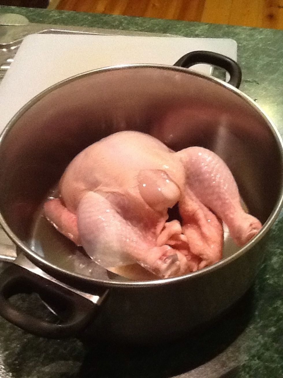 Place your chicken in a pot