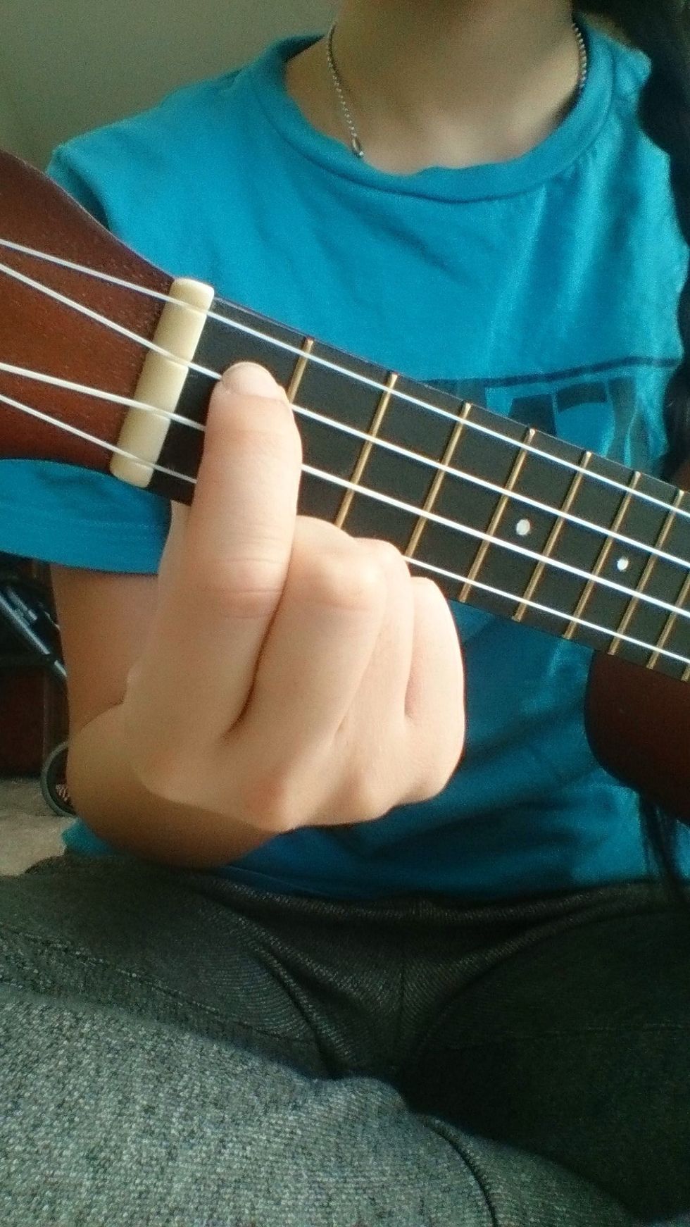 Place your finger on the E string , first fret