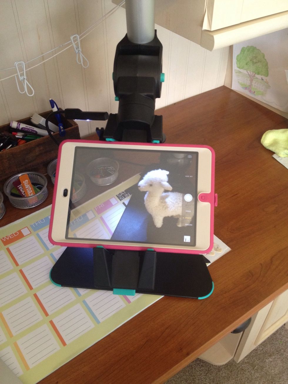 Place your iPad in portrait or landscape position securely.