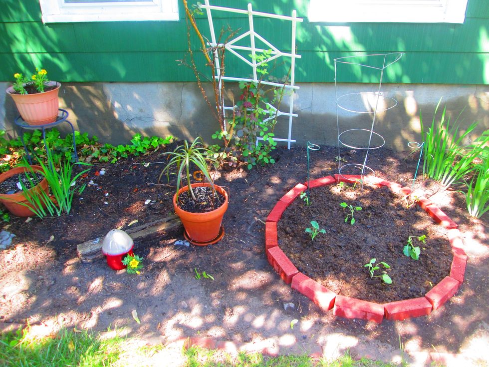 Place your organic vegetables into your NON-TOXIC & beautiful raised bed!! Water, grow and eat healthy!