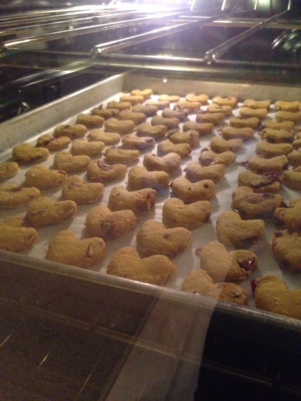 Place your treats on a parchment-lined cookie sheet and bake in a preheated 350* for 30 minutes or until they turn light brown. They will not spread, so you can put them close to each other!