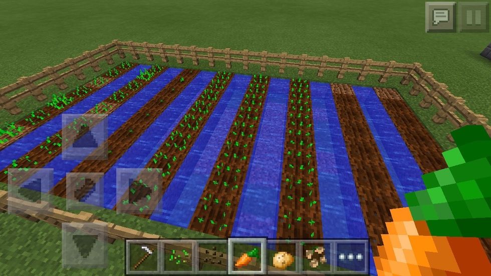 Plant carrot seeds in the 5th and 6th columns. Carrots can be found in villages or a 1/100 chance of a zombie dropping it!