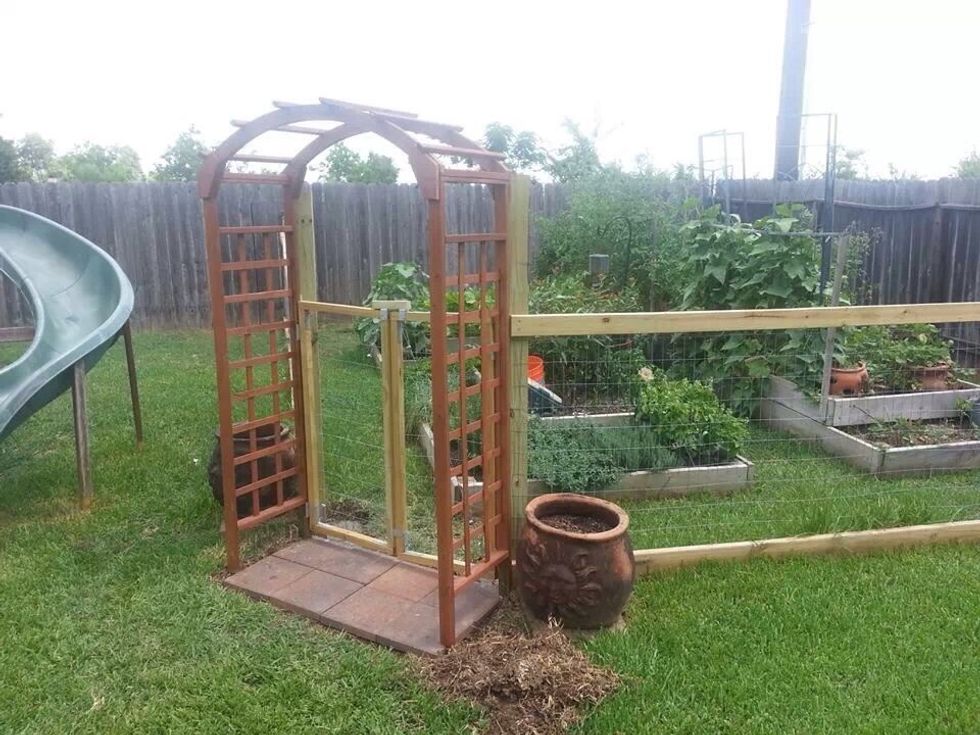 Plant vegetables, flowers, berries as desired. Pay attention to what areas of your garden get more sun. Larger plants should be at the north end of the garden. Mulch as necessary.