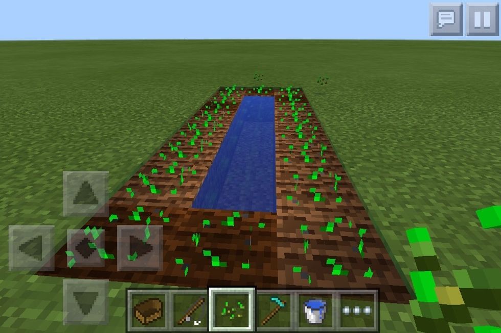 Plant your seeds by tapping the grass