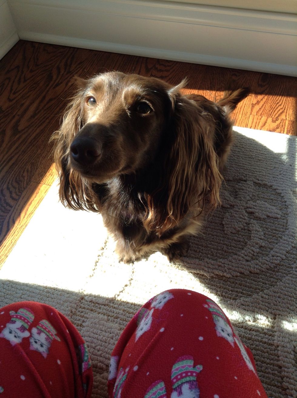 Play with a pet! This definitely gets some energy flowing for not only you... But your pet too! Studies also show that pet therapy will boost your happiness!