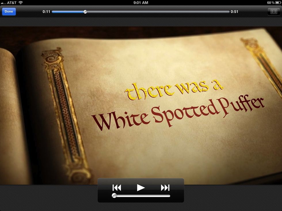 Play your finished video.