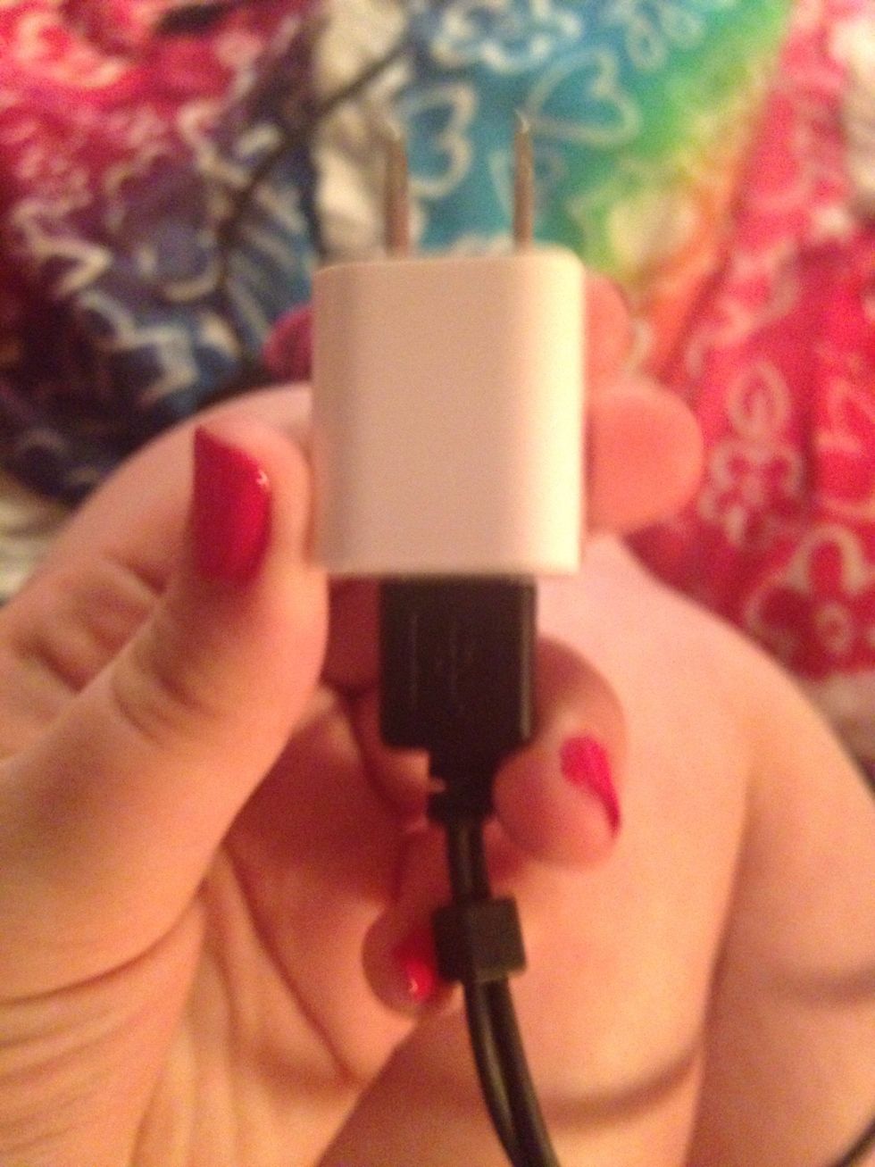 Plug in the speaker cord to the charger