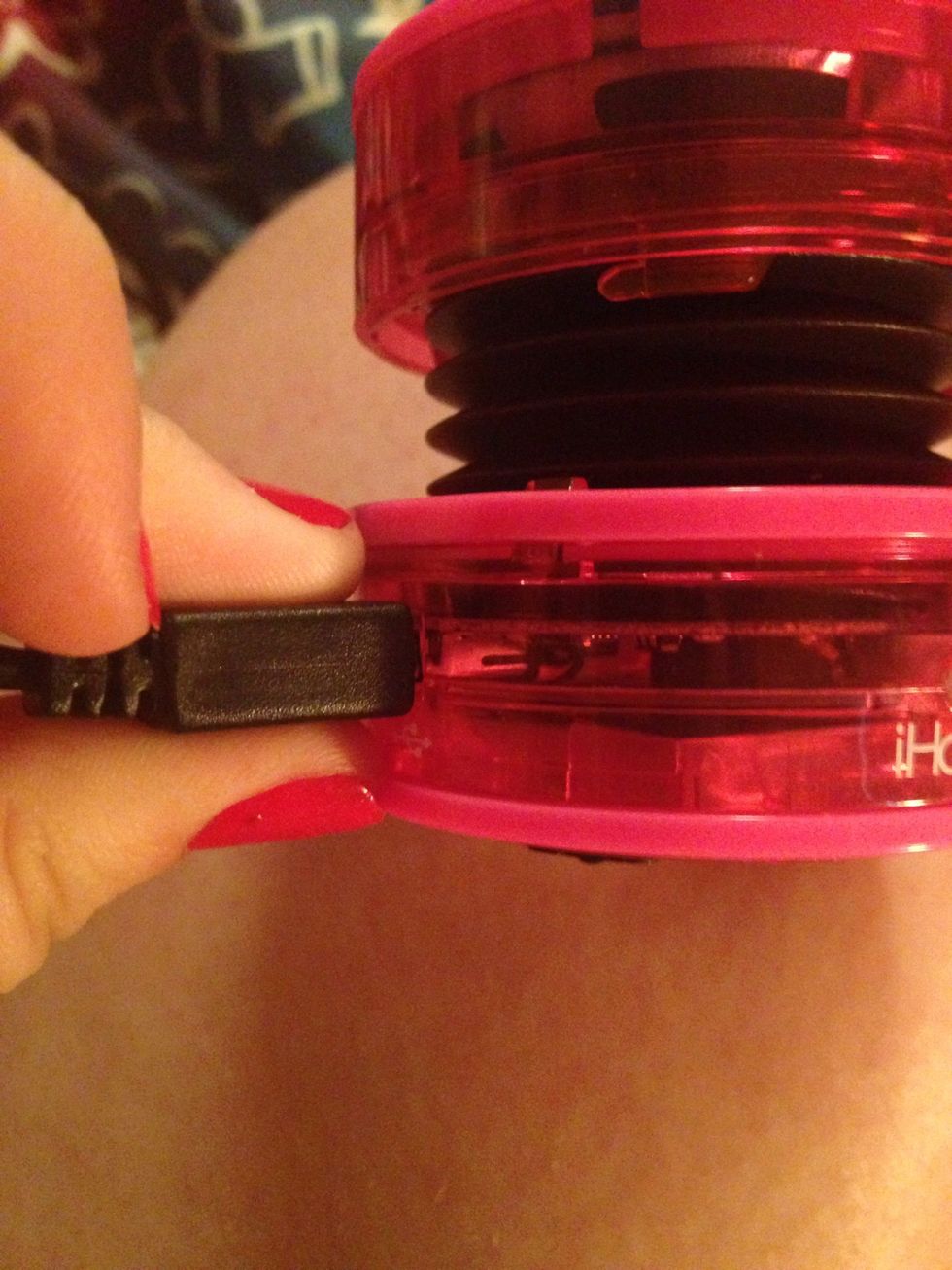 Plug the other end into the speaker